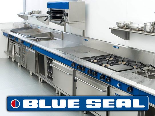 BLUE SEAL Gas Salamander 900mm G91