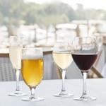 Mondial Red Wine / Water Schott Zwiesel 445ml