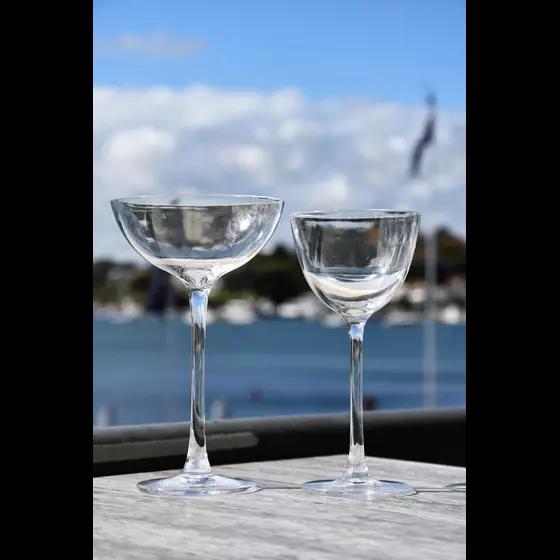 Cocktail 150ml Polycarbonate