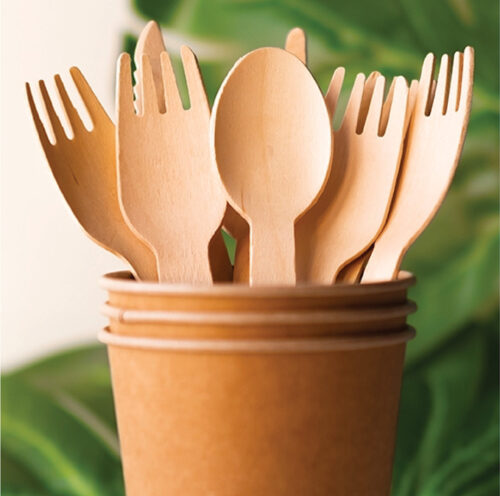 Disposable Cutlery