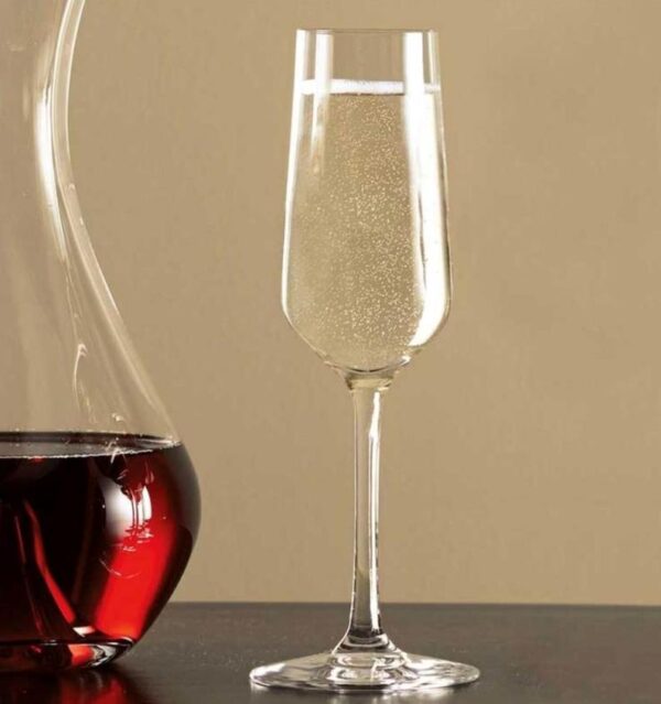 Champagne Flute 200ml Revolution Stolzle