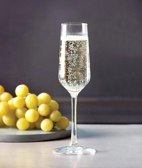 Champagne Flute 200ml Revolution Stolzle
