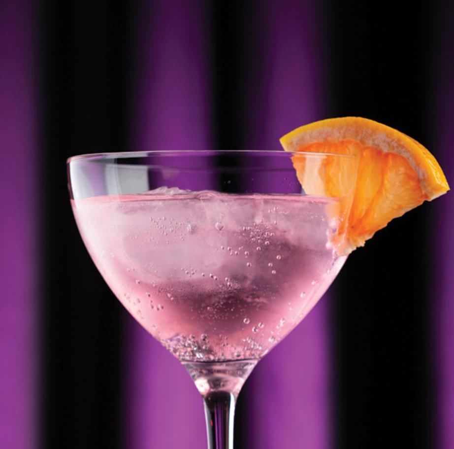 Martini 240ml Loire