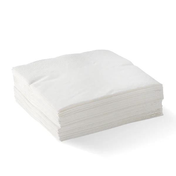 Dinner Napkin 2 Ply 1/4 Fold Corner Embossed BioNapkin