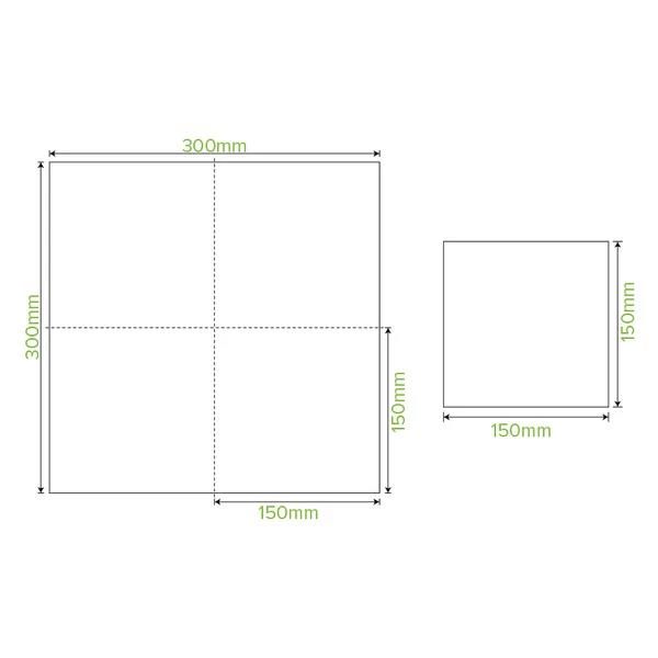 Lunch Napkin 2 Ply 1/4 Fold BioNapkin