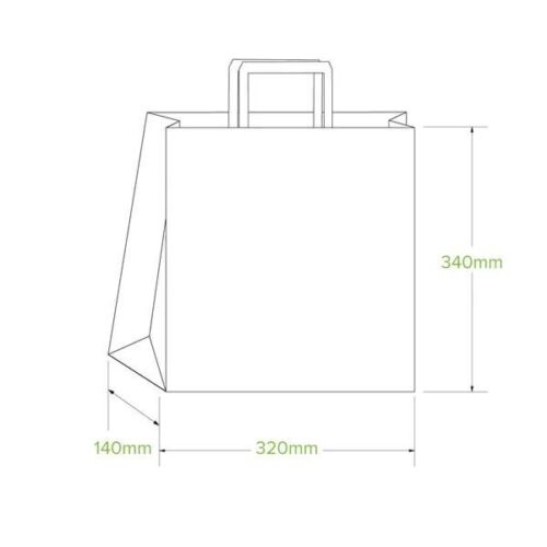 Carry Bag w/ Flat Handle Kraft Paper BioPak - Medium