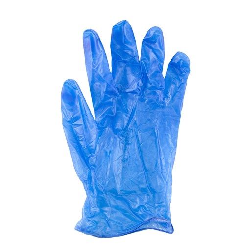 Gloves Vinyl Powder Free Large - Blue