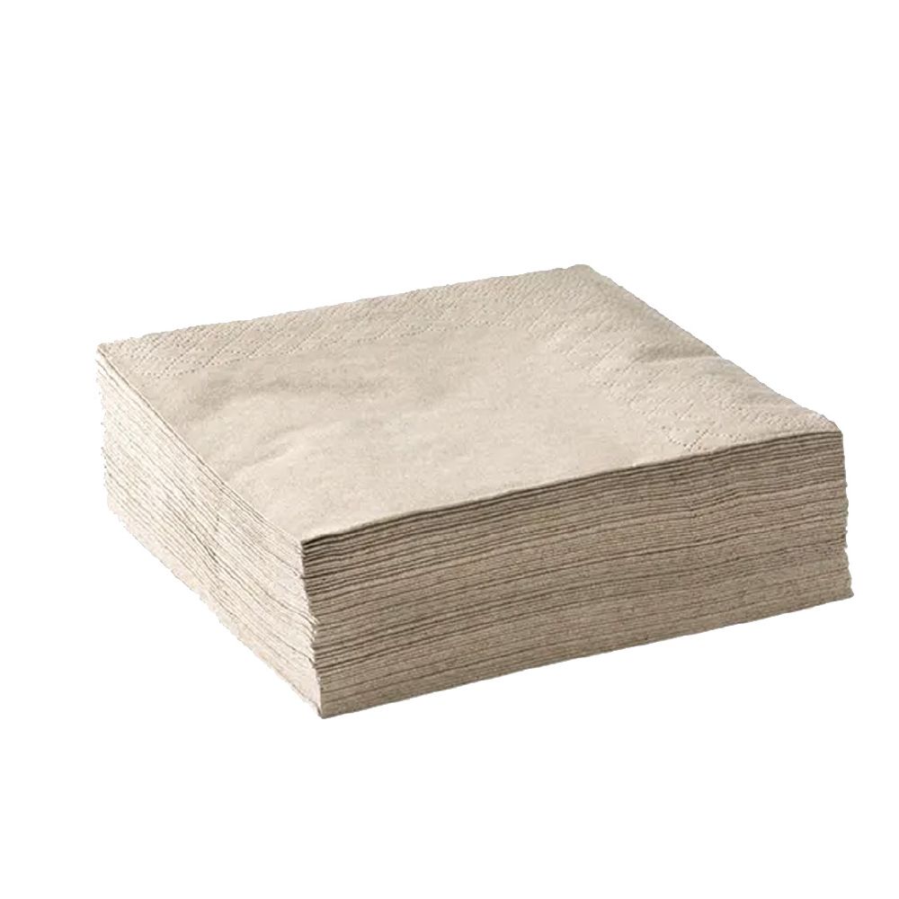 Dinner Napkin 2 Ply 1/4 Fold Corner Embossed BioNapkin