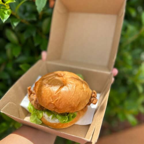 Food Trays & Snack Boxes