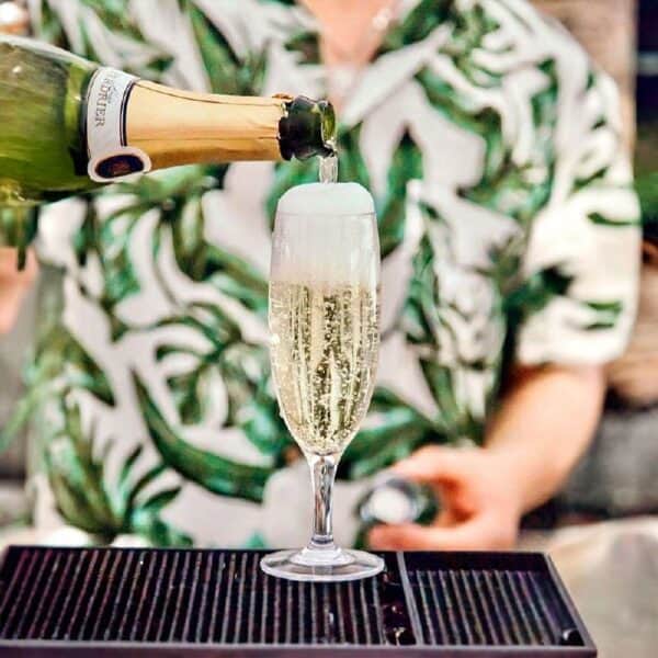 Essential Champagne 175ml Polycarbonate