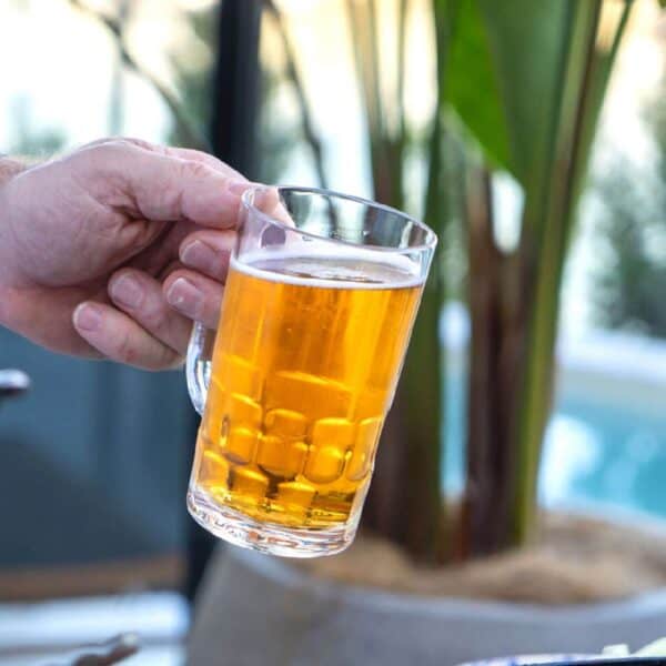 Essential Beer Mug 405ml Polycarbonate