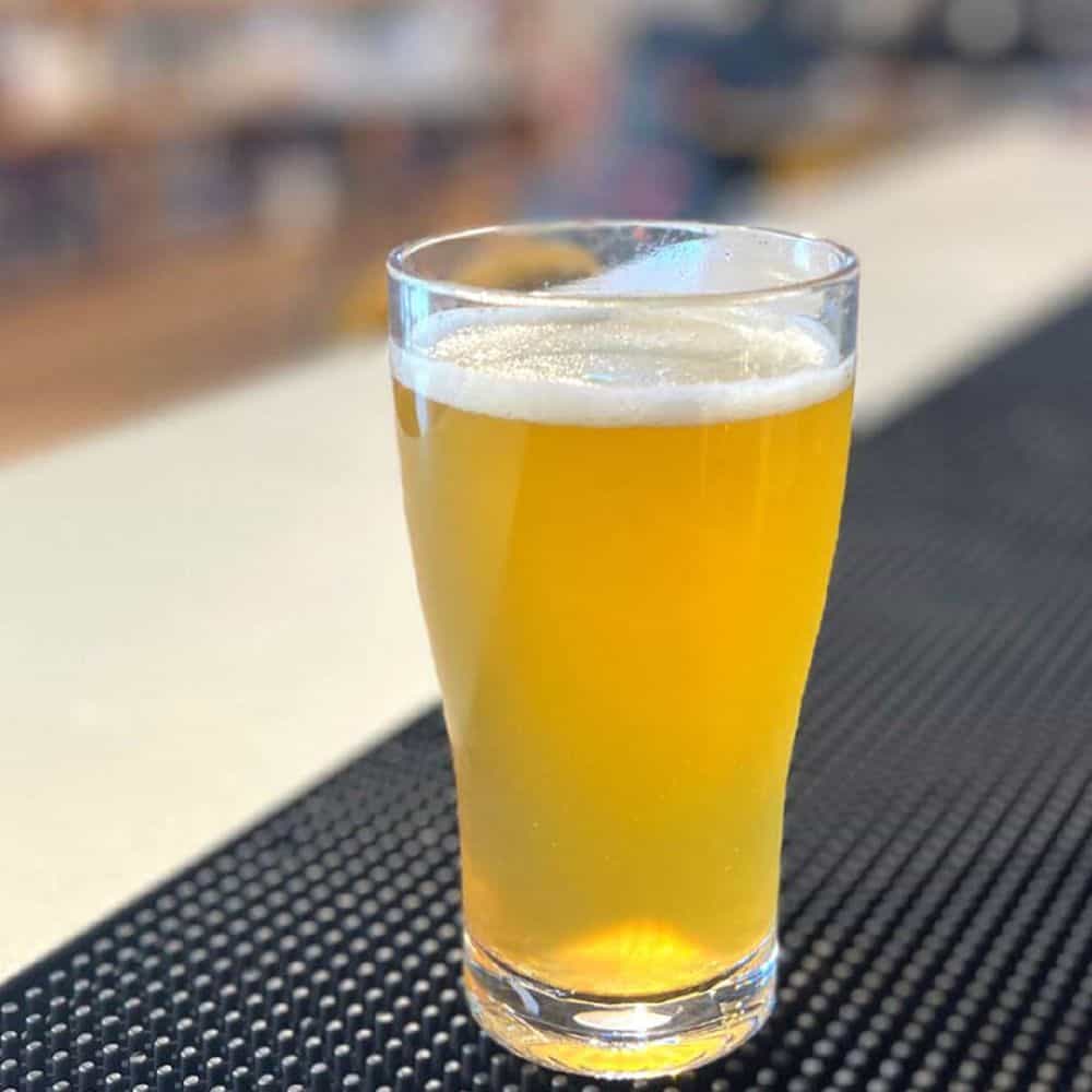 Essential Conical Beer Certified & Nucleated 285ml Polycarbonate Weights & Measures Certified