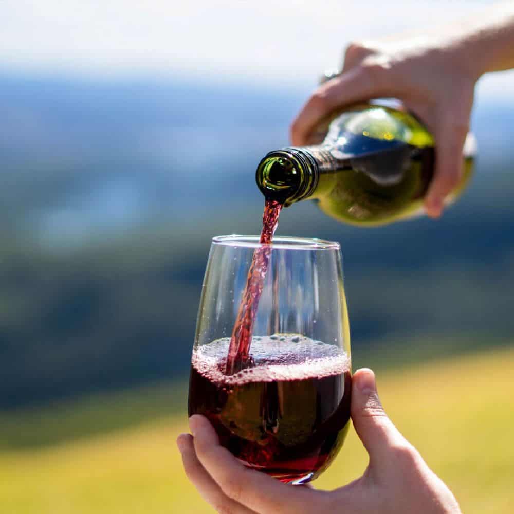 Essential Stemless Wine 480ml Polycarbonate