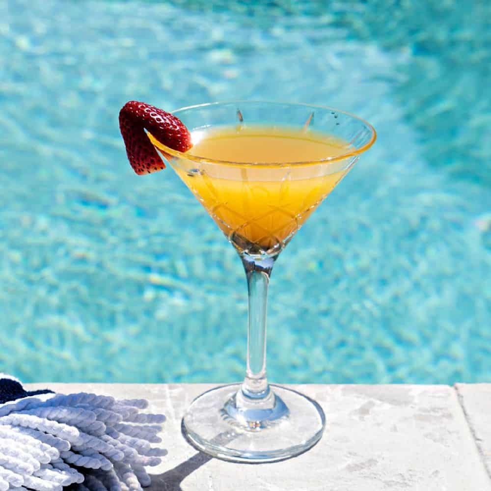 Diamond Cut Martini 235ml Polycarbonate