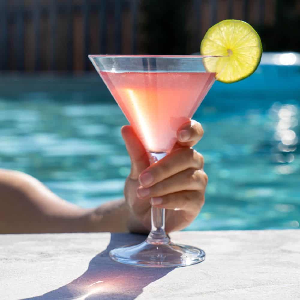 Essential Martini 280ml Polycarbonate