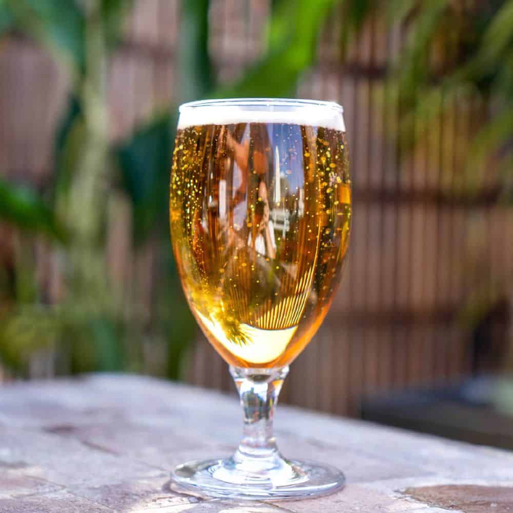 Essential Goblet 375ml Polycarbonate