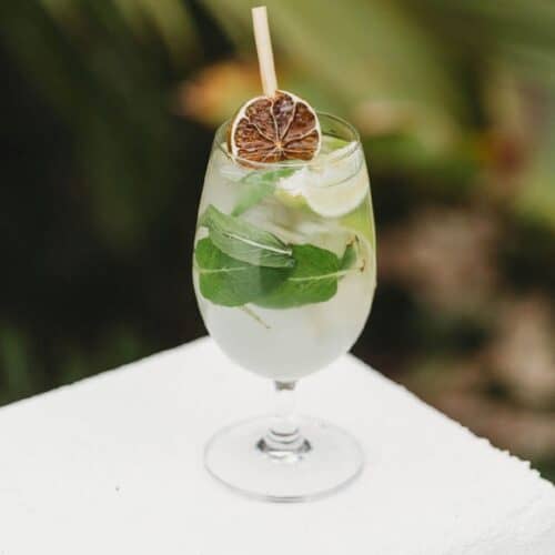 Essential Goblet 375ml Polycarbonate