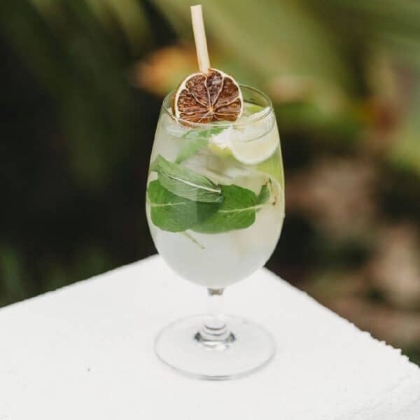 Essential Goblet 375ml Polycarbonate