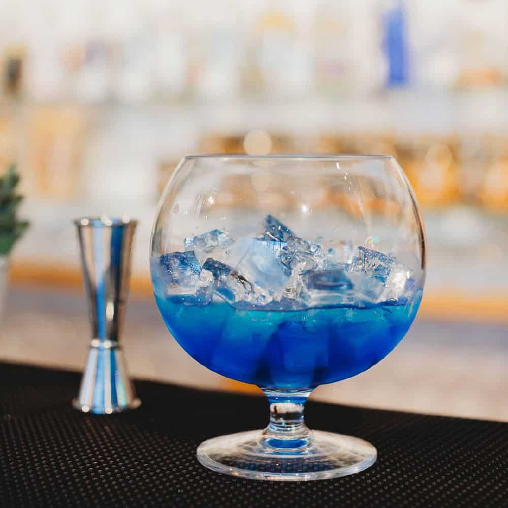 Essential Fishbowl 1700ml Polycarbonate