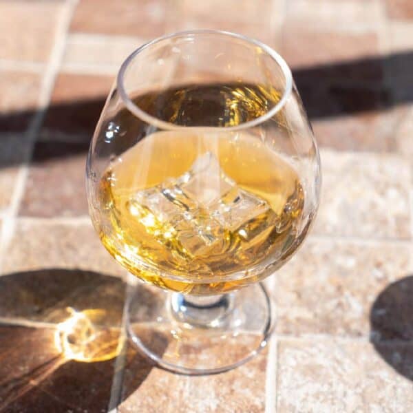 Essential Cocktail Goblet 350ml Polycarbonate