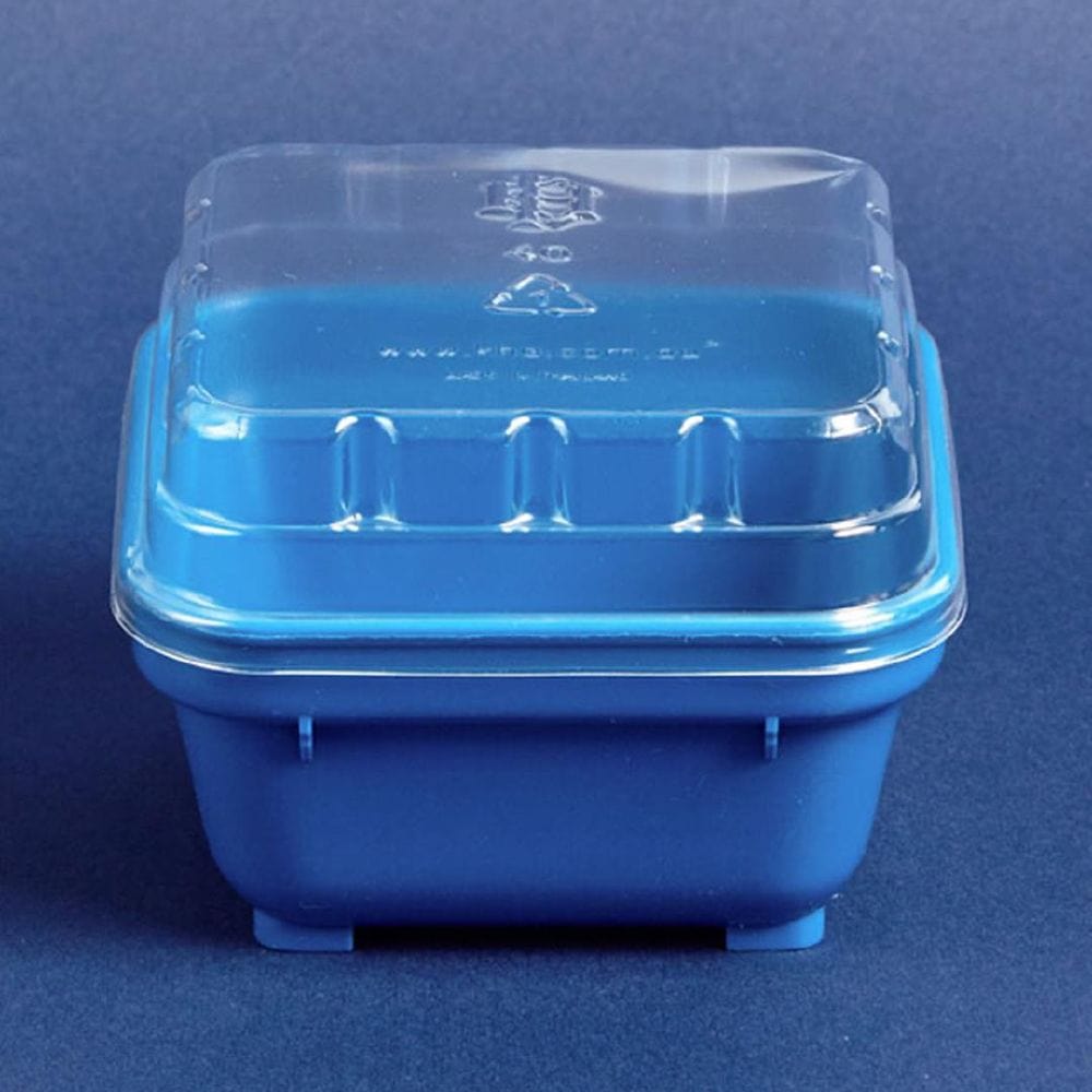Lid Disposable Suits Square Bowl #19