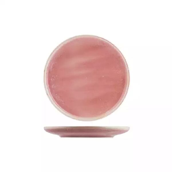 TI926120 Round Plate 200mm Icon